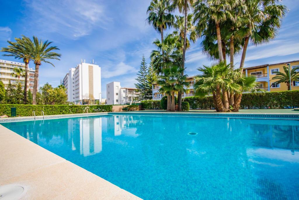 Ideal Property Mallorca - Primavera - 3