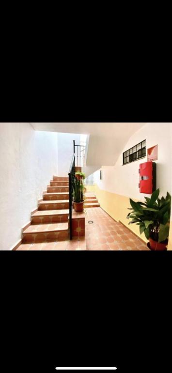Precioso apartamento con habitacion separada en centro historico de Malaga - 2