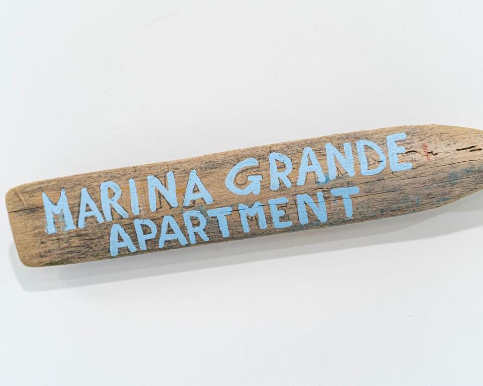 Marina Grande Apartment - 5