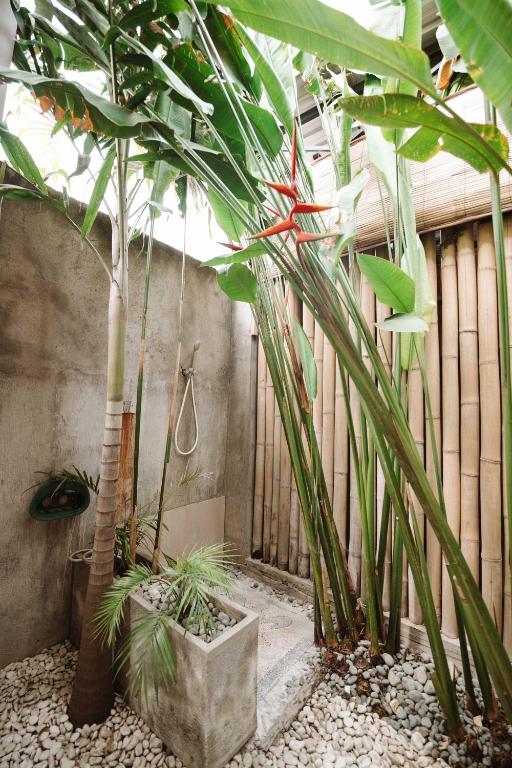 Loka Surf & Fitness Lodge photo
