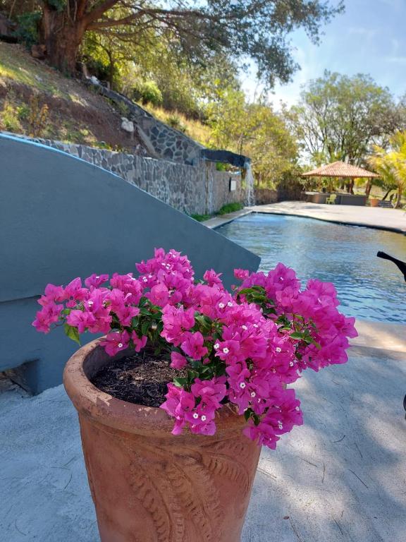 Vida Aventura Ranch photo