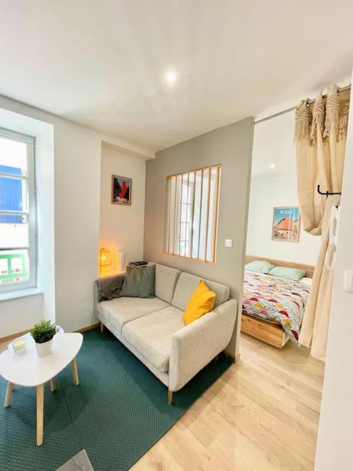 Hyper centre appartement Cosy WIFI, Rodez