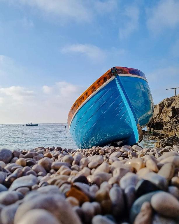 il blu photo
