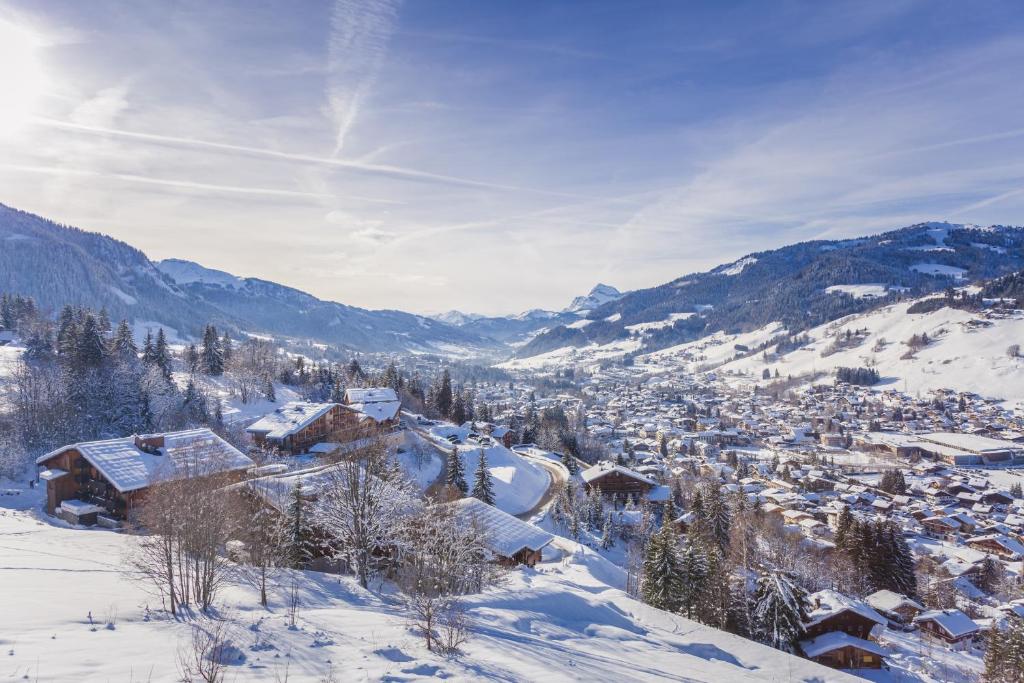 Chalet Albert 1 er Megeve village - 4