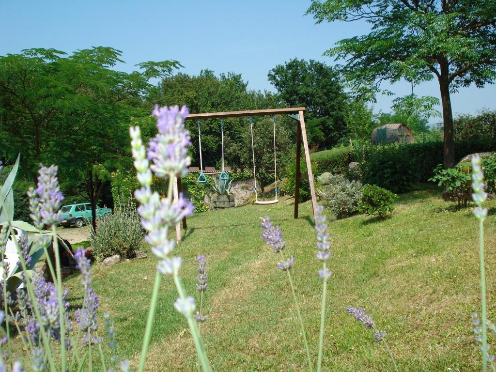 Agriturismo la Vigna photo