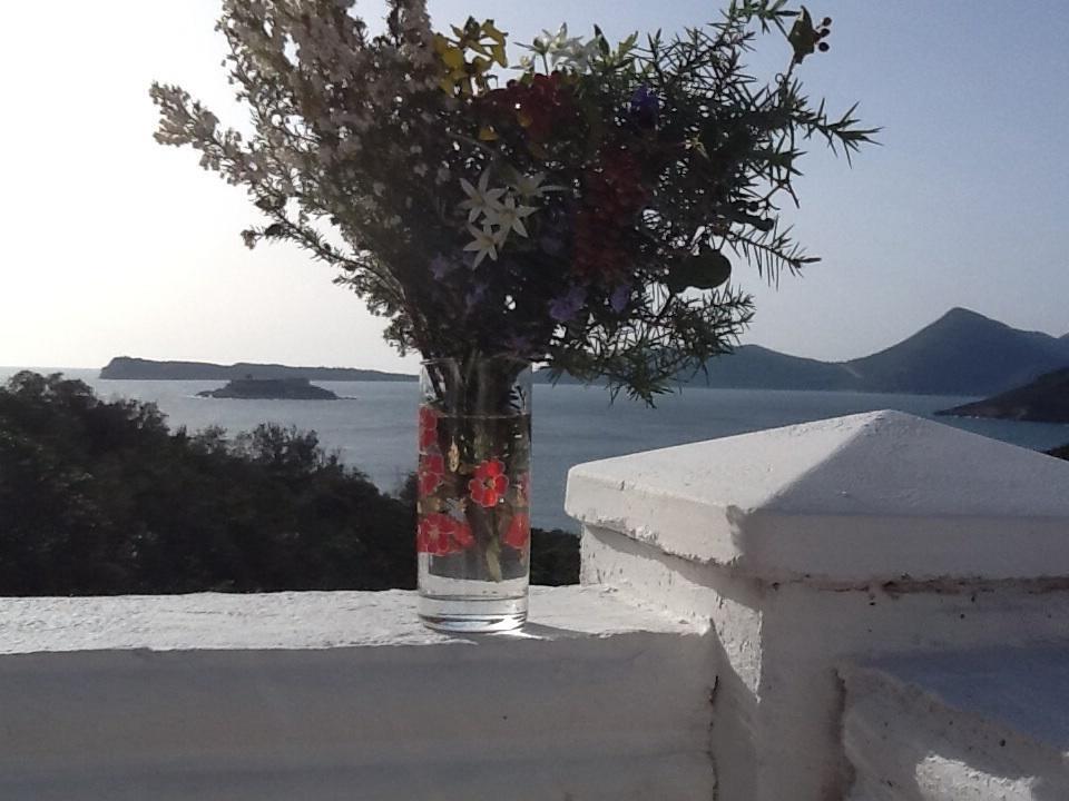 Villa Mirista — Hotel in Herceg Novi