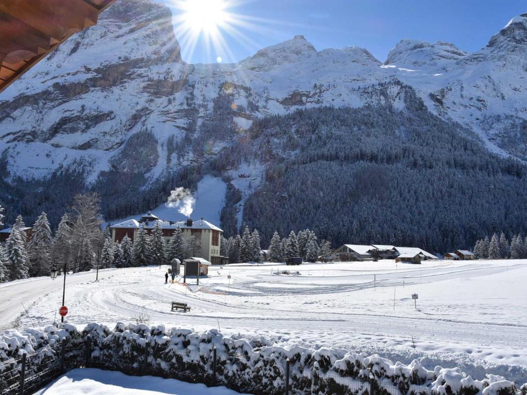 Appartement chalet 4 pièces, proche centre, animaux admis - FR-1-464-214 - 3