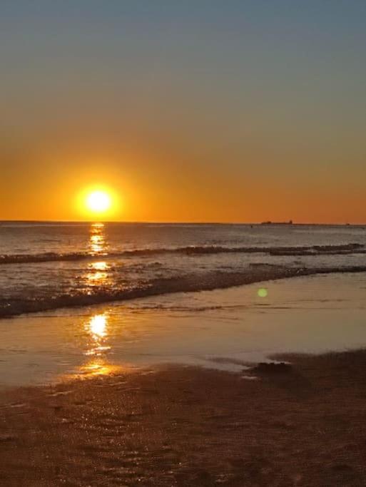 Puerta del Mar-la Barrosa - 4