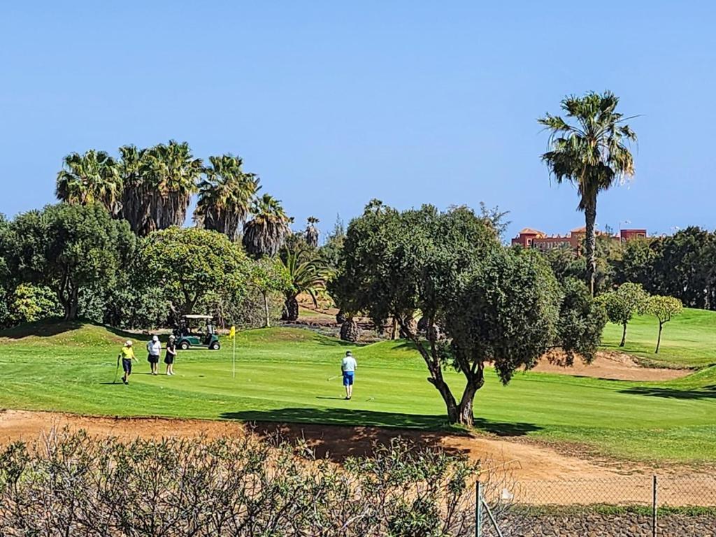 Ap Majorero Caleta Golf - 3