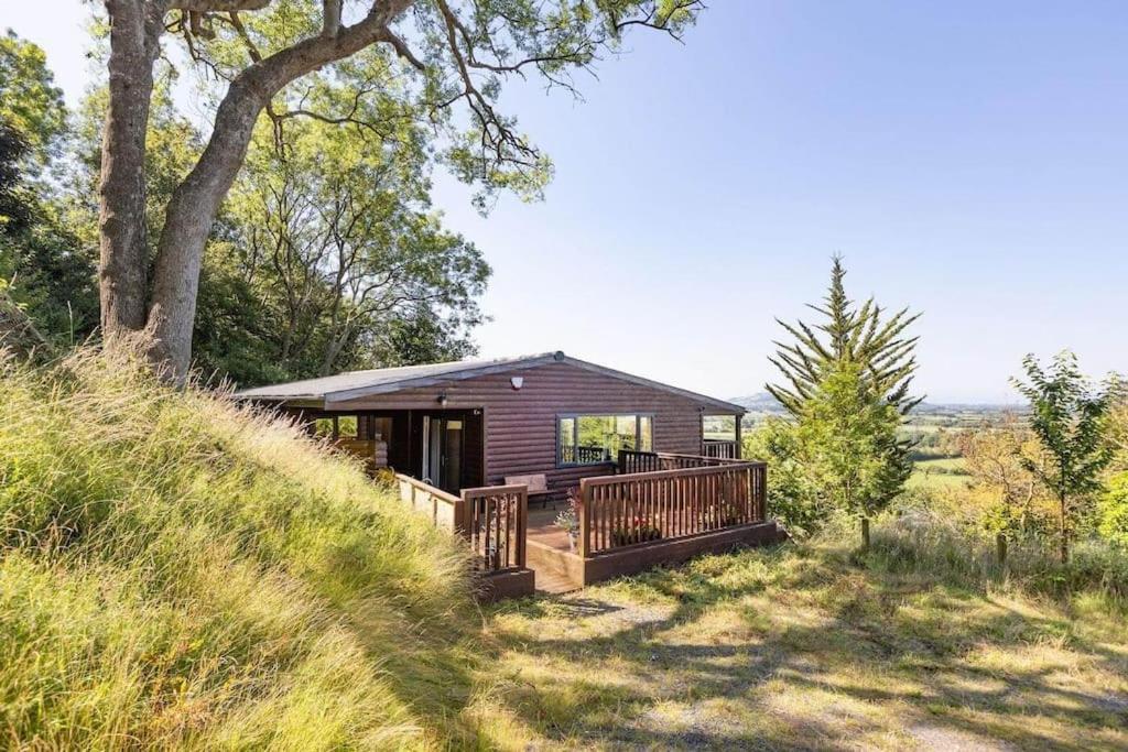 Grove Lodge, Contemporary Cabin in Mendip Hills, Axbridge