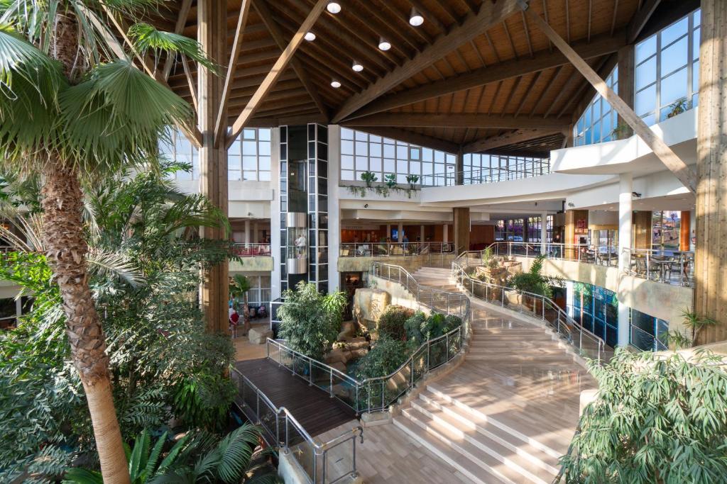 Medplaya Hotel Flamingo Oasis — Hotel building in Benidorm, Valencian Community