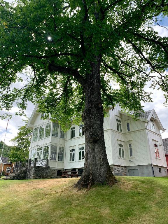 Storsand Gård, Trondheim