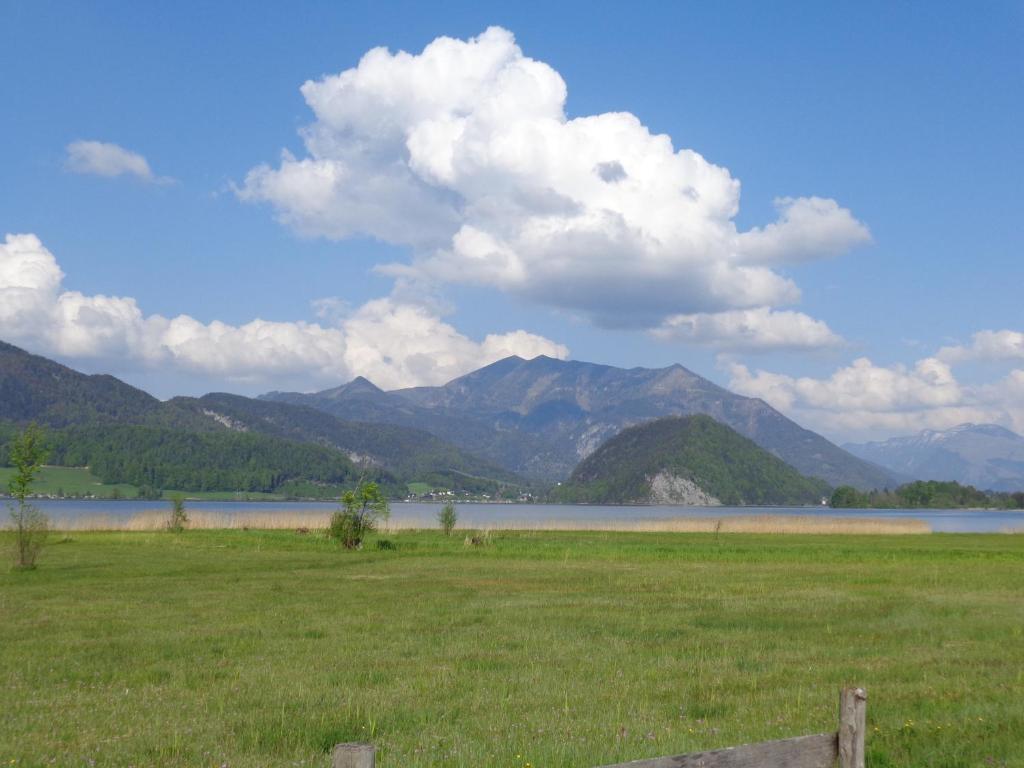 Surrounding environment