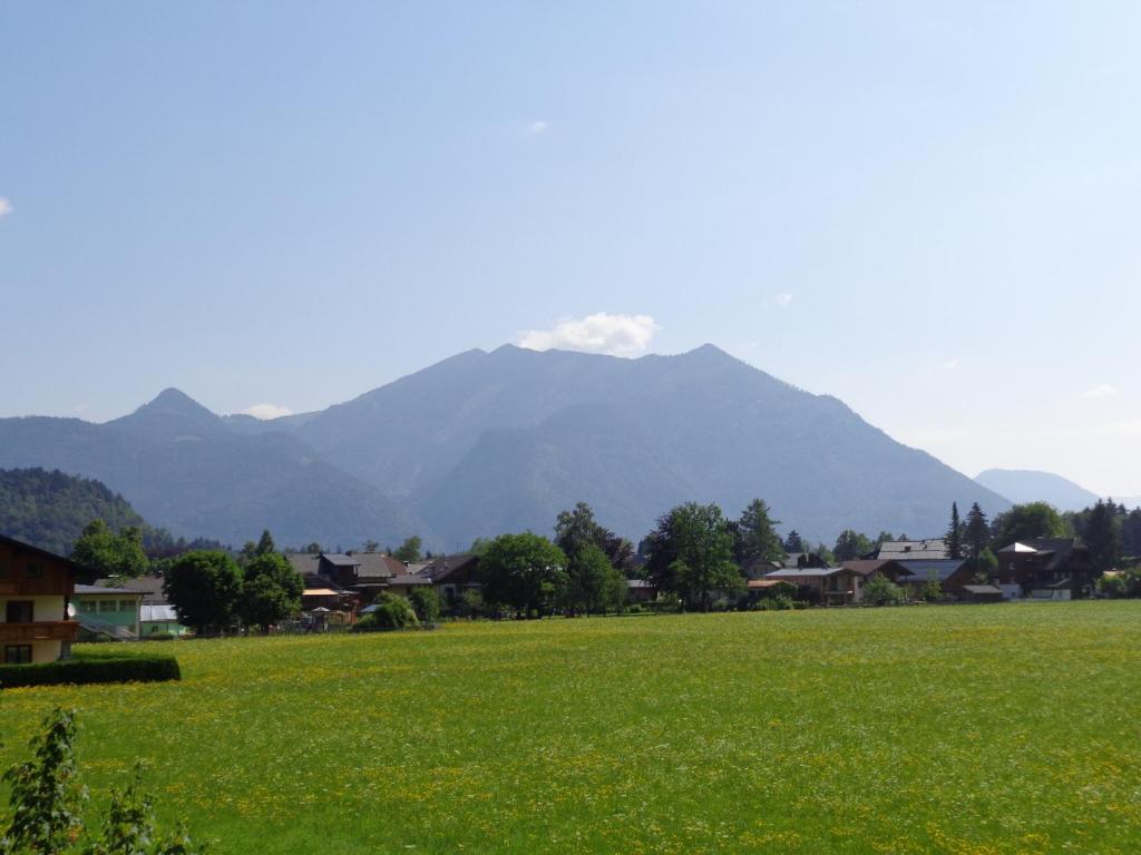Surrounding environment