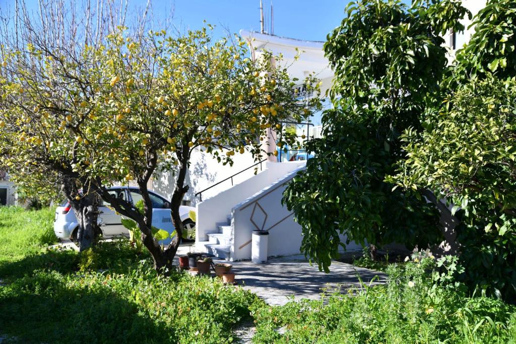 Iskas apartments photo