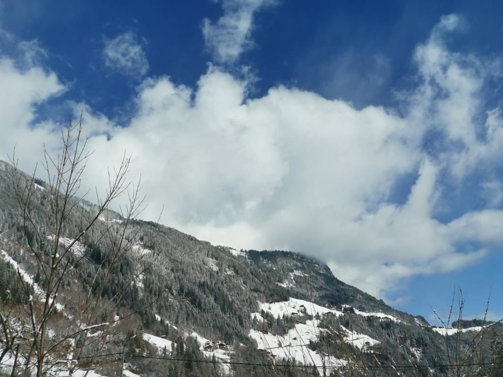 Appartement Geisler - 4