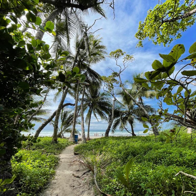 El Chante Surf House photo