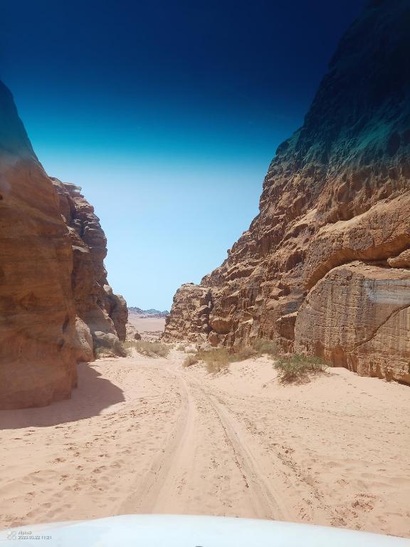 Qais Camp Wadi Rum photo