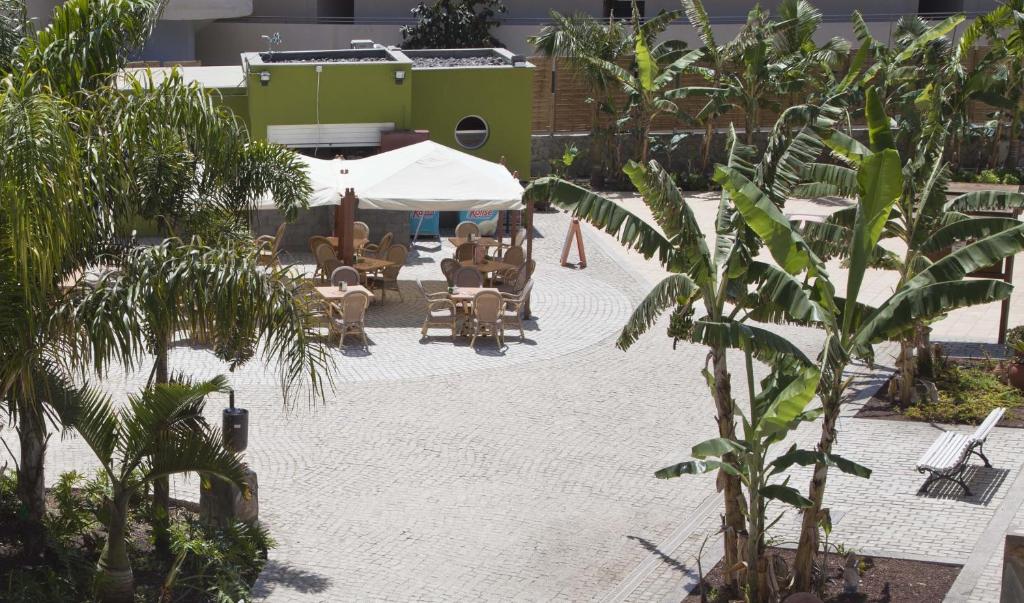 Terraza de Amadores — Restaurant & bars in Puerto Rico, Canary Islands