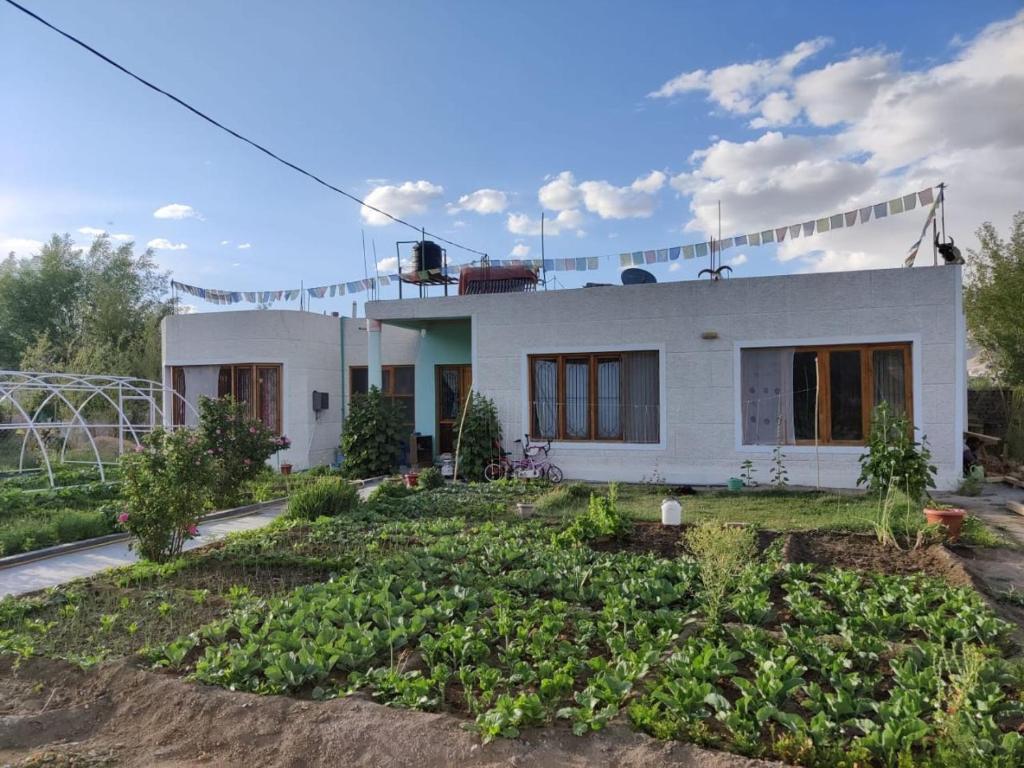Stanzin Home Stay