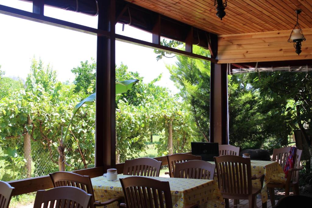 알리바바 펜션 호텔 이미지 1