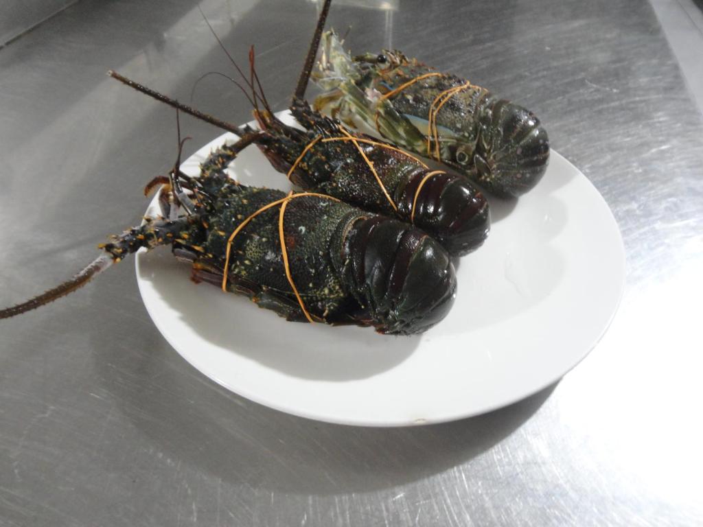 お料理のイメージ