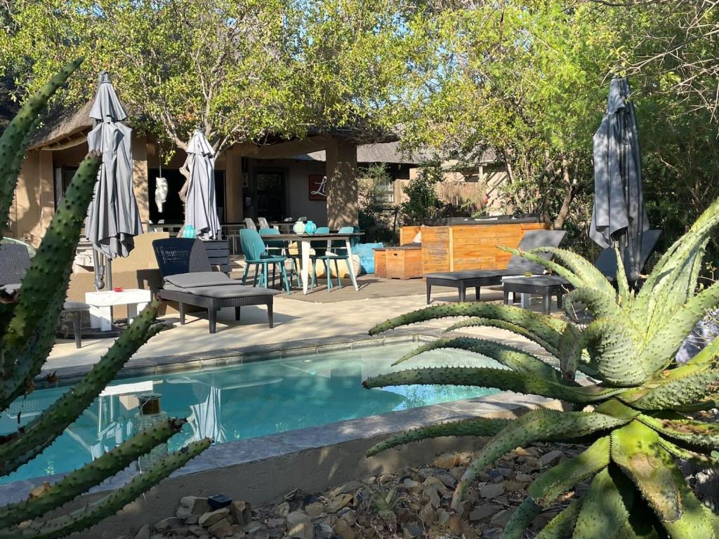 Lindiwe Safari Lodge — Hotel in Hoedspruit