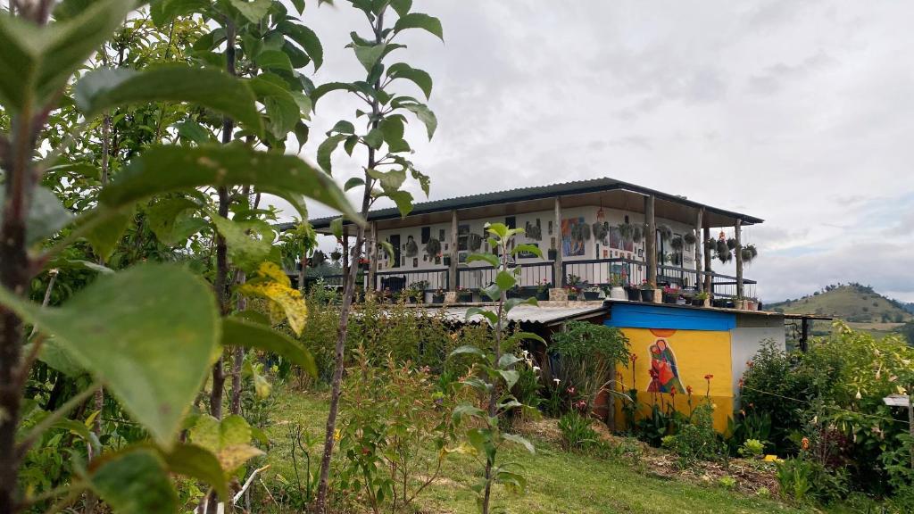 Finca Renacer - 5