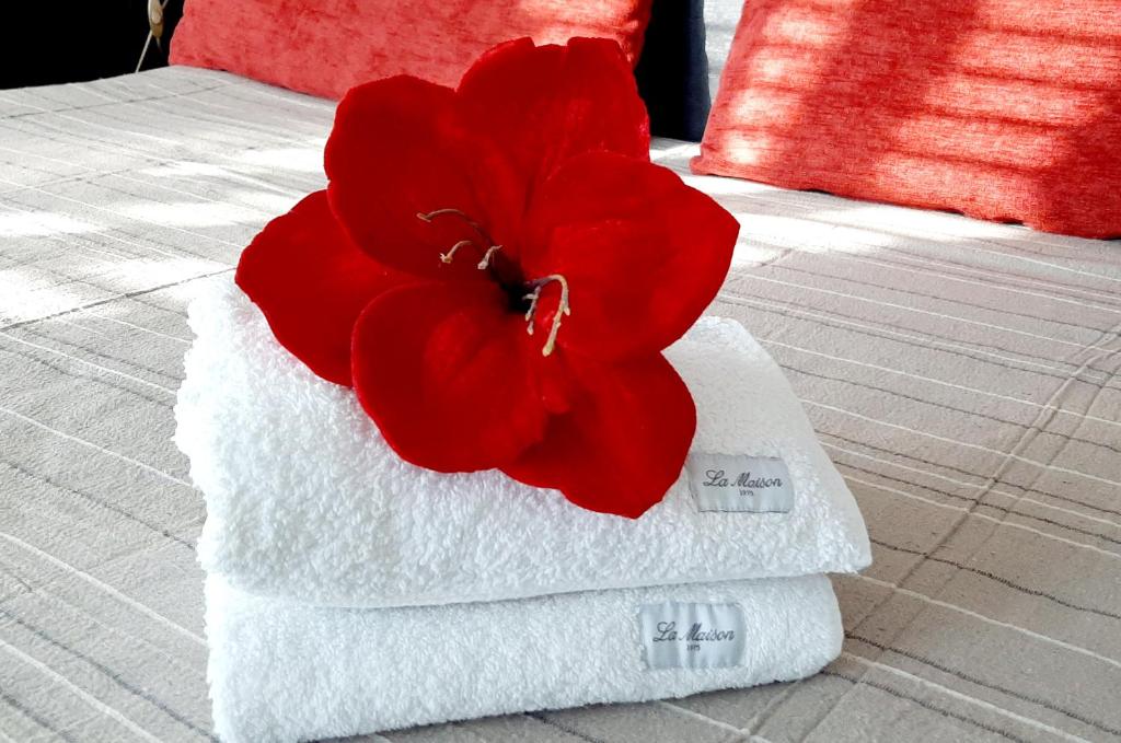 La Magnolia Private Apartment