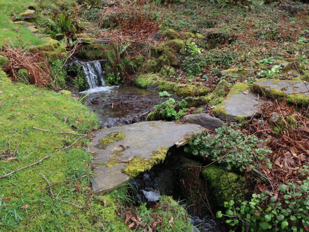 Bron Aber, Arthog photo 8