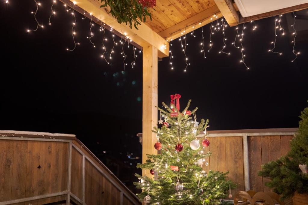 Appartement-Edelweiss - 4