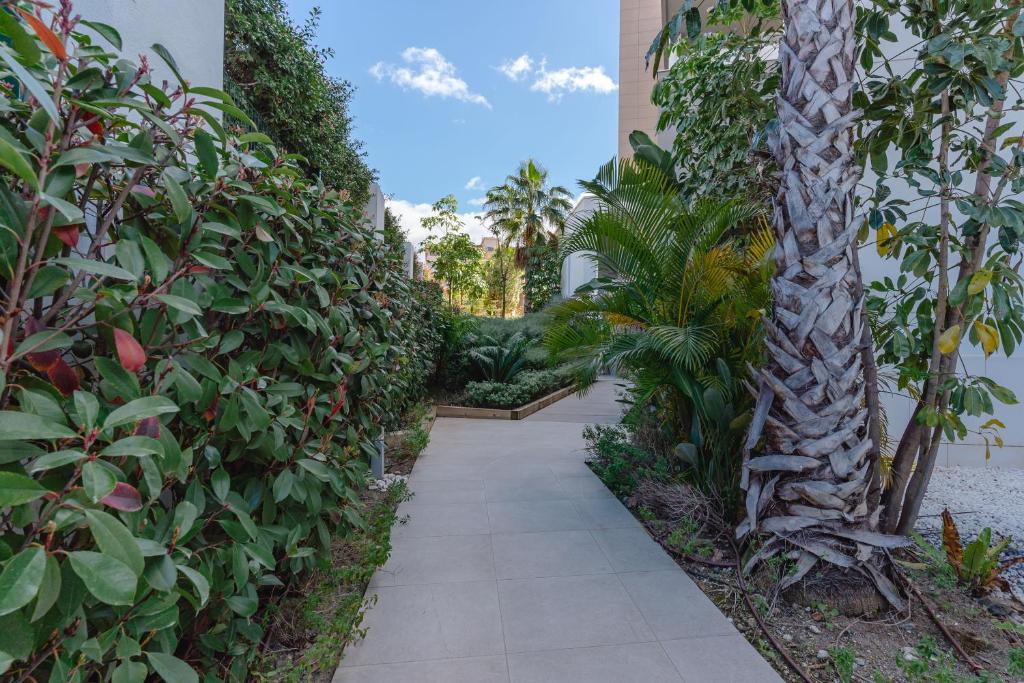 Penthouse - Royal Banus - 3