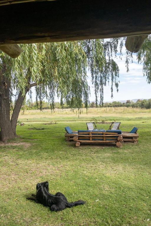 SANTA MARIA REINA - 3