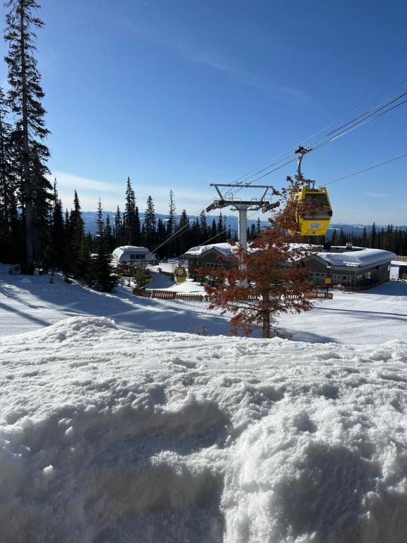 Magical Views at Southpoint Big White! Best Location!, Big White