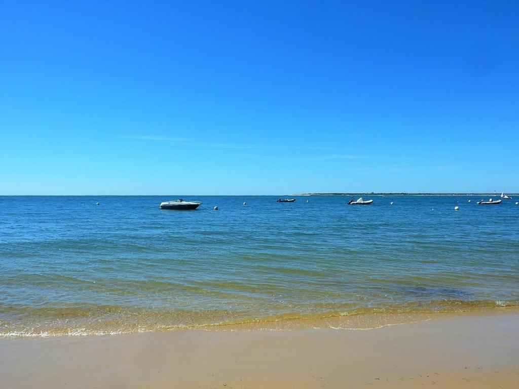 Arcachon Centre: Beau Duplex T3 3* avec Balcon, Parking, à deux pas de la Plage et des Commerces - FR-1-420-107 - 5