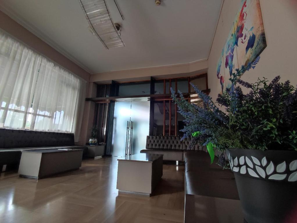 Hotel Industria - 5