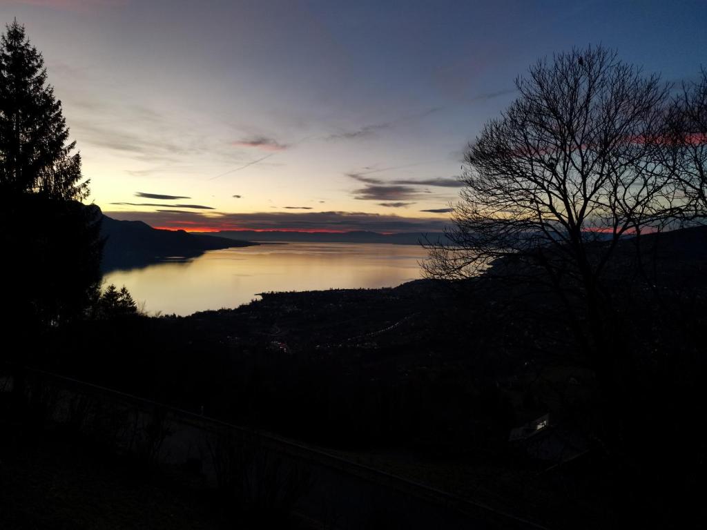 Elvira House Montreux, un lieu magique ! - 5