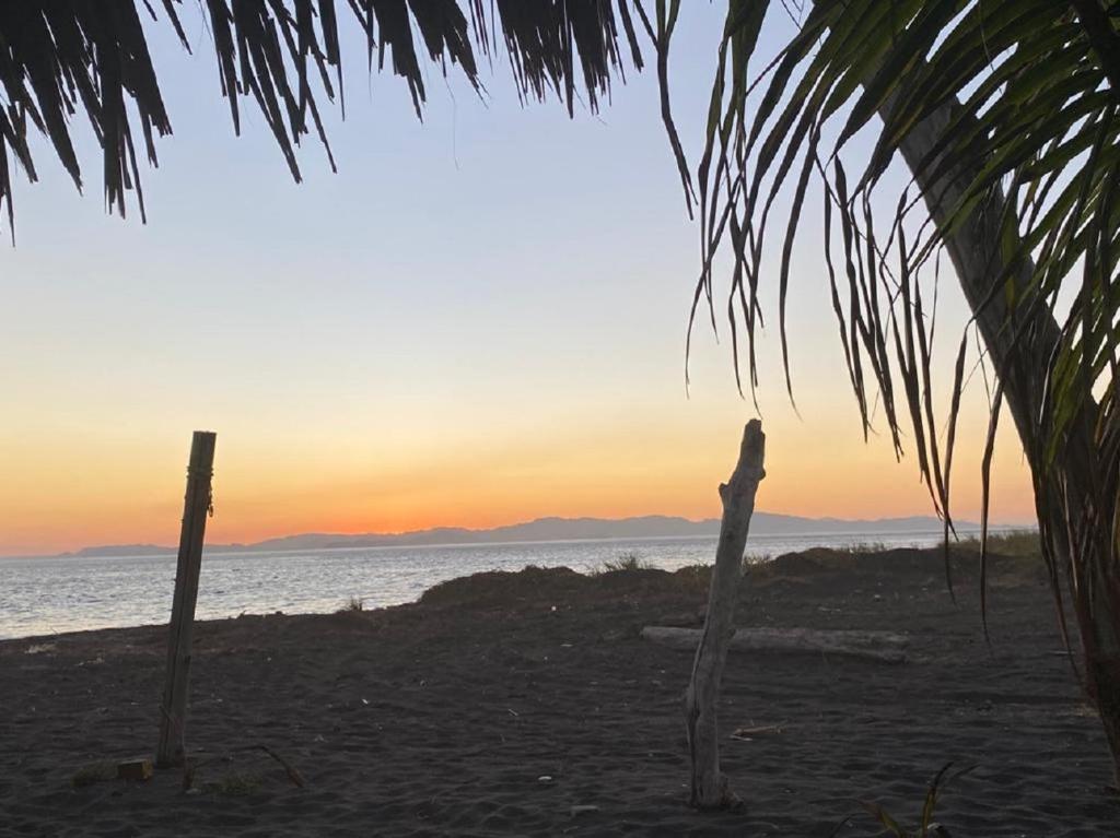 Nueva Villa Paraiso photo