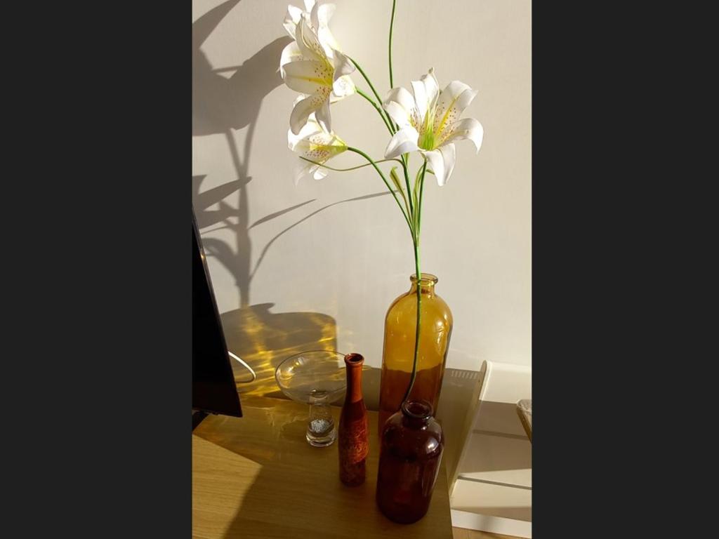 Superbe appartement moderne 2 chambres vue mer, 2 salles d'eau, parking, animaux admis - FR-1-323-276 - 2