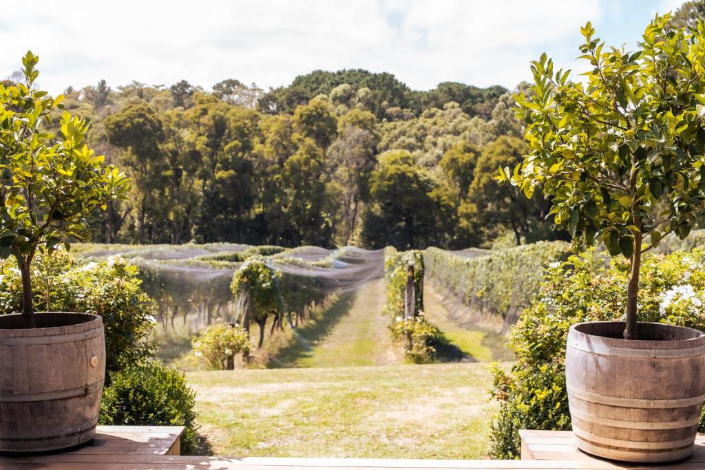 Mantons Creek Estate & Lodge photo