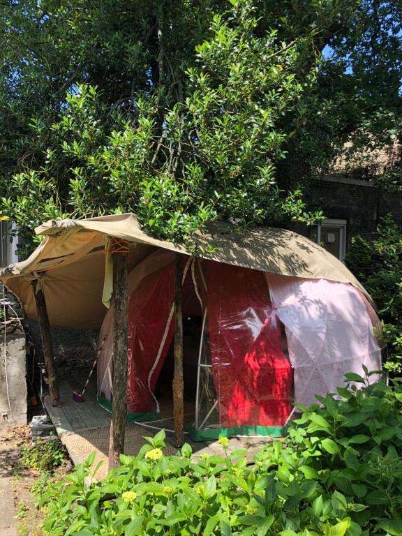 Vintage Dome Igloo tent, Lange Haven Schiedam — Hotel in Rotterdam