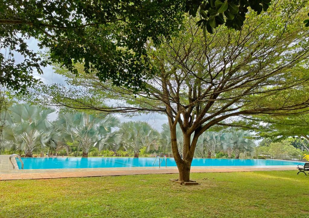 Birds Resort Hambantota photo