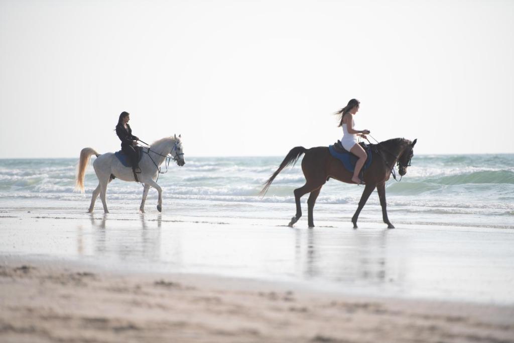 Horseback riding