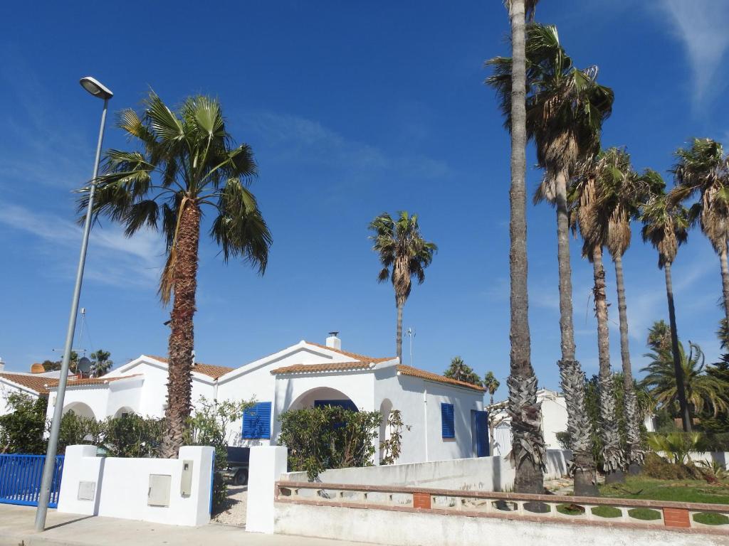 CAL GARRETA, L'Eucaliptus