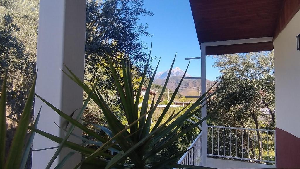 Cemils Guest House photo