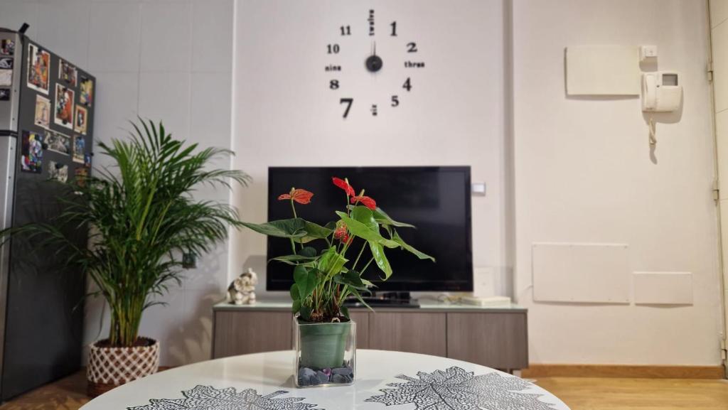 APARTAMENTO BERNIER - 2