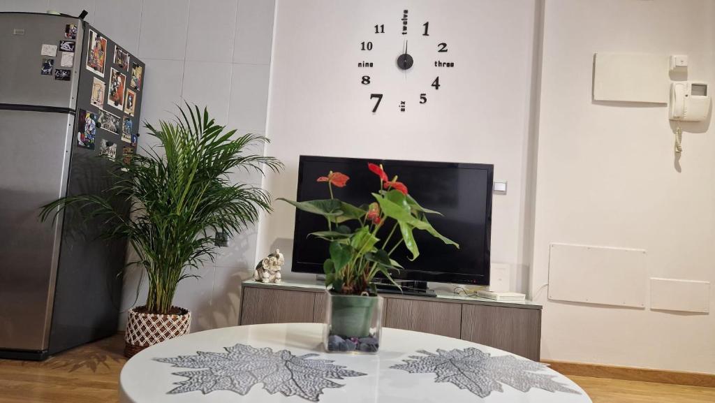 APARTAMENTO BERNIER - 3