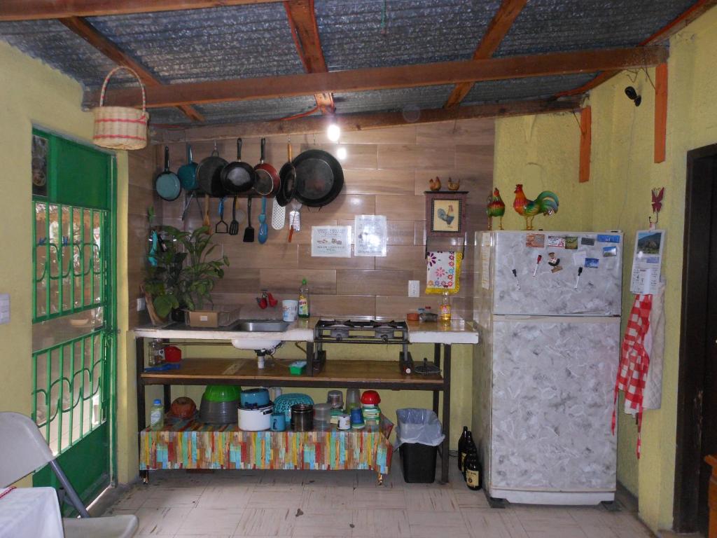 Hostal Casa Huasteca photo