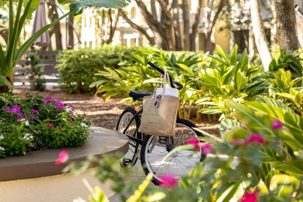 Sports and activities