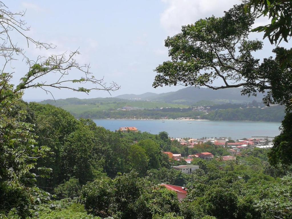 Le Cacaoyer, La Trinité